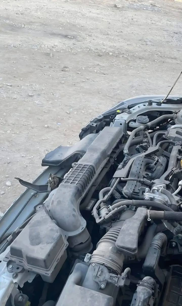 السلام عليكم ورحمه الله 🌹

للبيع تيوتا كورلا 

موديل 2022

السياره باسمي شخصي رقم اربيل جديد🚩

السياره تحويل مباشر سنويه وهزه جديد

سابقا كفاله عامه خليجي 

السعر 📍(( 75$ ورقه )  وبي مجال بسيط

ملاحظه:::# توصل اي محافظه تريدها 

حسب الاتفاق 
للاستفسار اكثر اتصال أو وتساب 

***********
