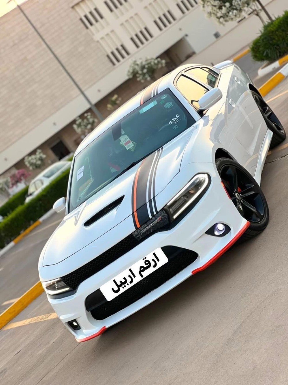 مواصفات الوارد الكندي البارزة تمتاز سيارات التشارجر الكندية بمواصفات قياسية تتفوق على نظيرتها الأمريكية، وأهمها : التدفئة: تدفئة المقاعد الأمامية والخلفية، وتدفئة الستيرن، وتدفئة المرايا الجانبية. العدادات تكون القراءة الأساسية فيها بـ (الكيلومتر) ودرجات الحرارة بـ

(السيليزية). الإضاءة : نظام DRL إضاءة نهارية مستمرة إلزامي في كندا. المواصفات القياسية لفئة SXT المحرك 6 سلندر سعة 3.6 لتر (Pentastar) . الناقل : أوتوماتيكي 8 سرعات (Torque Flite) . الترفيه: شاشة وسطية قياس 7 أو 8.4 بوصة تدعم Apple CarPlay و Android Auto. الأمان: حساسات خلفية كاميرا للرجوع الخلفي، ونظام مراقبة النقطة العمياء (اختياري) . الراحة تشغيل عن بعد كشن السائق كهربائي ومكيف هواء أوتوماتيكي ثنائي المنطقة على بركة الله تعالی سیاره جارجر للبيع كلين رقم اربيل فقط محدث دعاميات وبنيد فقط سياره جاهزة خير من الله شراي يتصل رقم ***********. سعر 230 بيه مجال سياره باسمي تحويل ثاني يوم

بسيط مديل 2019

+

رقم اربيل ً مكان سياره بغداد