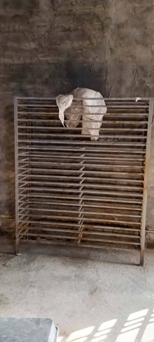 السَلام عليكم ، غراض معمل حلويات كاملة للبيع مُستعملة ، المكان:بابل-مركز المدينة.
للاستفسار:

‏‪***********
