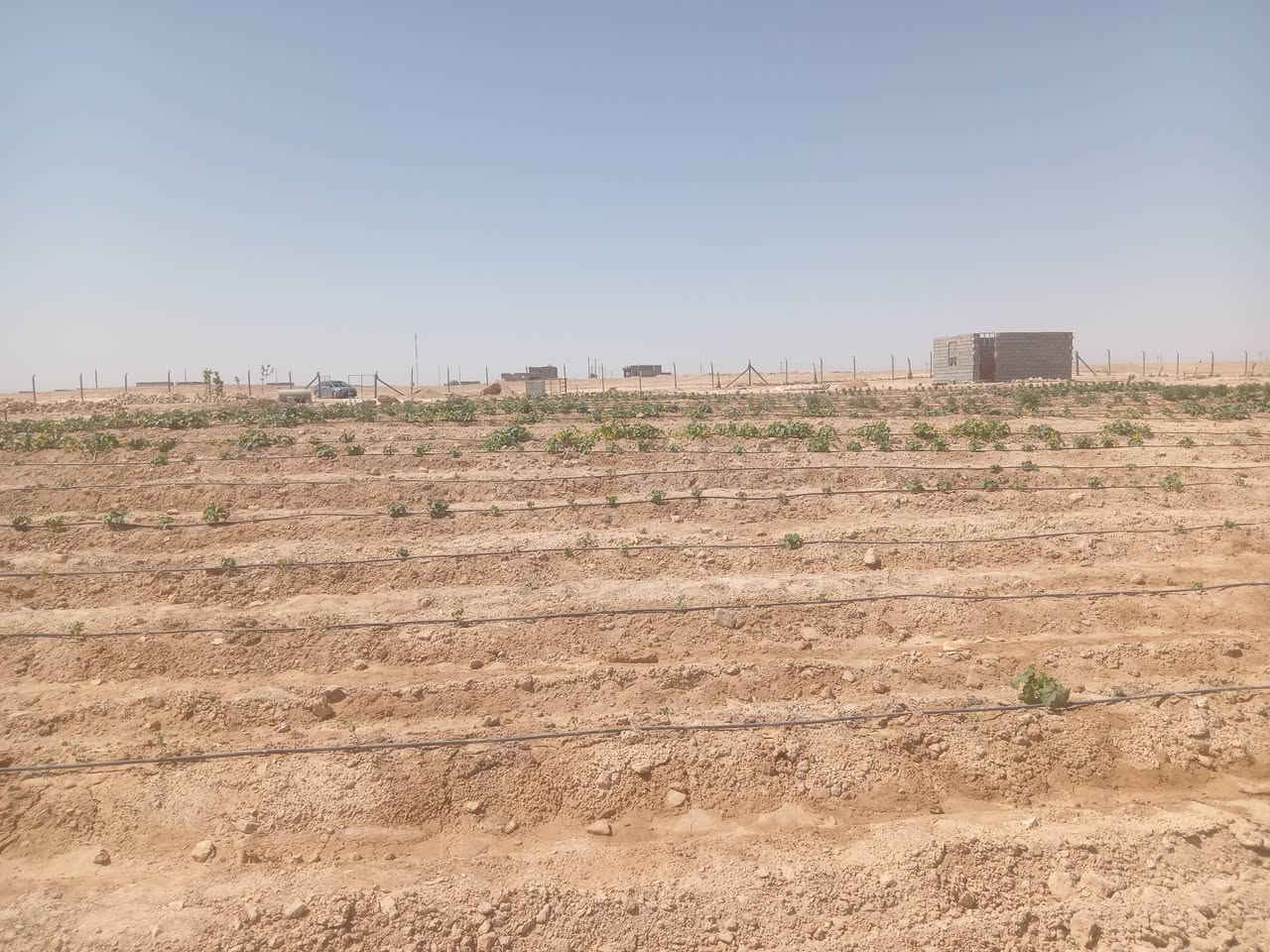 قطعه أرض غير طابو مساحته 6000 م على شارعين للبيع خدمات واصله بيها مزرعه بيها نخل ومشمش وحوض مي وتنقيط مسيجه BRC موقع شيخ حديد السعر 32 مليون وبيها مجال
للاستفسار ***********
