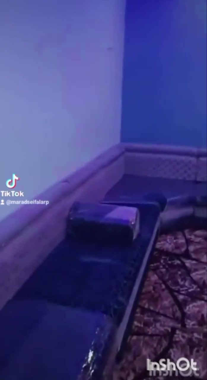 اللهم صلي وسلم على سيدنا محمد تم بفضل الله تسلم مجلس ارتفاع ٤٠س ١٢متر إلي محافظة  مطروح  معرض سيف العرب ثقه وضمان لكل المصريين يوجد شحن الي  اي مكان في مصر سيف العرب ٠١٠٨٠٦٢٥٨١٦@ ثقه وضمان لكل المصريين


**إذا كنت صاحب هذا الإعلان وتريد حذفه لأي سبب، رجاءا أرسل رسالة إلى الدعم الفني**
