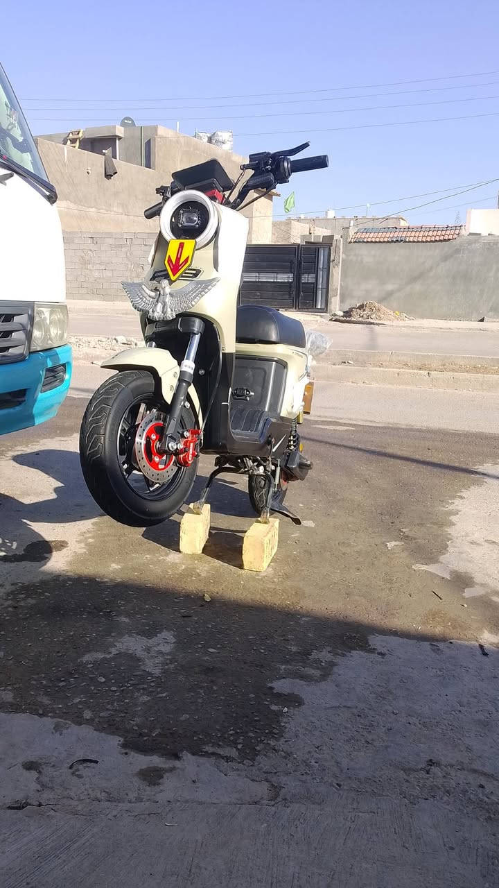 السلام عليكم دراجه للبيع ار 9 مكان بغداد سعر 480


**إذا كنت صاحب هذا الإعلان وتريد حذفه لأي سبب، رجاءا أرسل رسالة إلى الدعم الفني**