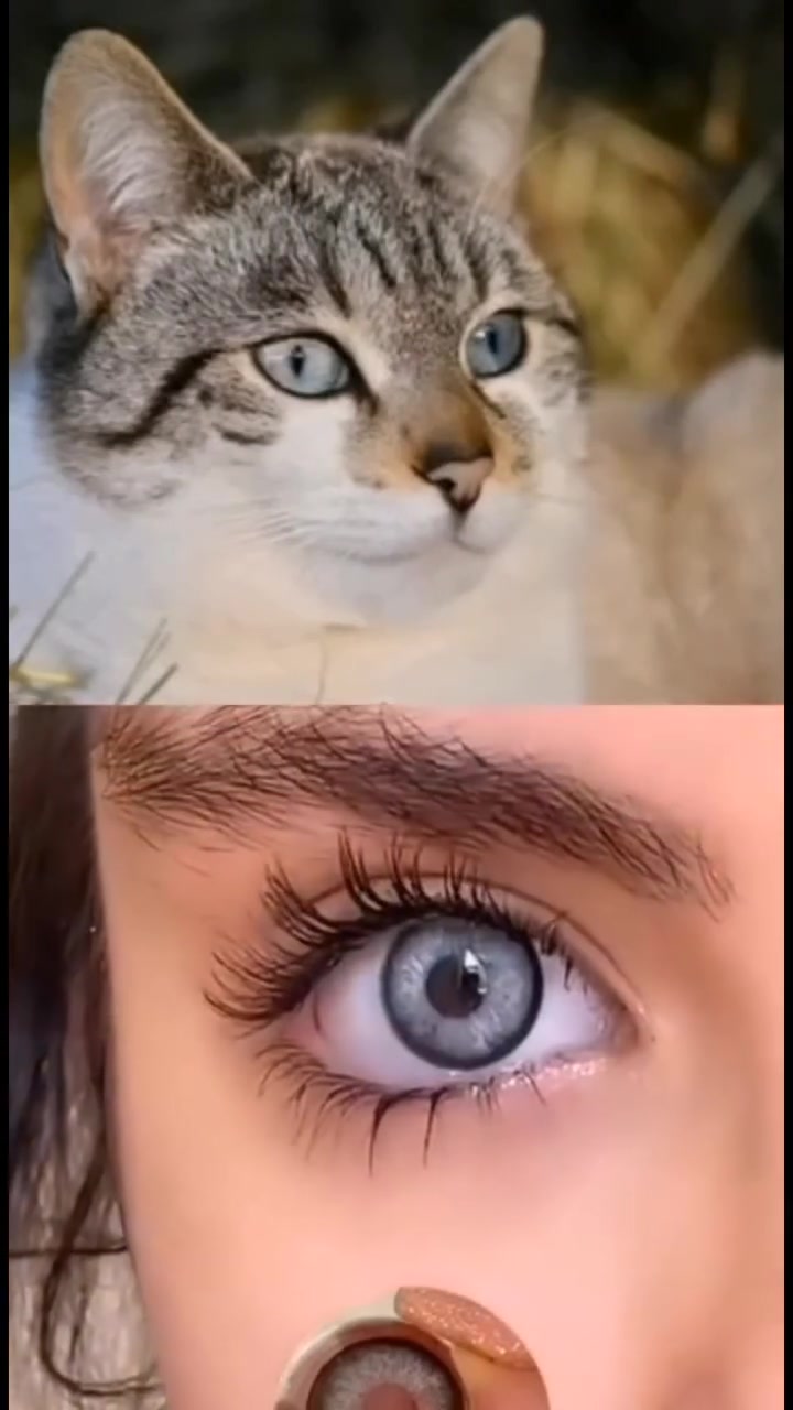 ✨ عدسات مكبّرة للعين من اسنس✨
👁️ جمال يلفت + تكبير يبرز العين
فقط اخير 3ألوان 
لحكوا قبل نفاذ الكمية 

دلّعي عيونچ وغيّري لوكچ بلحظة 💋

للحجز والاستفسار دايركت
#متوفر_الان #تسوق_معنا #عروض #عراق_كوزمتك"


**إذا كنت صاحب هذا الإعلان وتريد حذفه لأي سبب، رجاءا أرسل رسالة إلى الدعم الفني**
