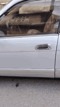 السلام عليكم..
هاي كل تفاصيلهه  الشراي يتصل مامتواجد ع نت
تويوتا كراون / بطه
موديل /1994
رقم واسط مشروع وطني بأسمي
مكفوله من الاصوليات والعيب الشرعي
كير ومكينه 2500 جدد
حداديه ..ربل قماره..تخم تاير جدد
تبريد وي السويج  ثلج
كهربائيات كلهه جاهزه
غرفه جديده
مصبوغه  عام بسبب الجراد
مكفوله من الضربه القويه
ملاحظه/السياره ع ايد وحده من 2011 ع بلاد من جانت فحص مؤقت  يعني استخدام شخصي جديده وناعمه كلش  السياره مال جناي
السعـــر /58$
العنـــوان / واســـــط
***********     /    ***********
