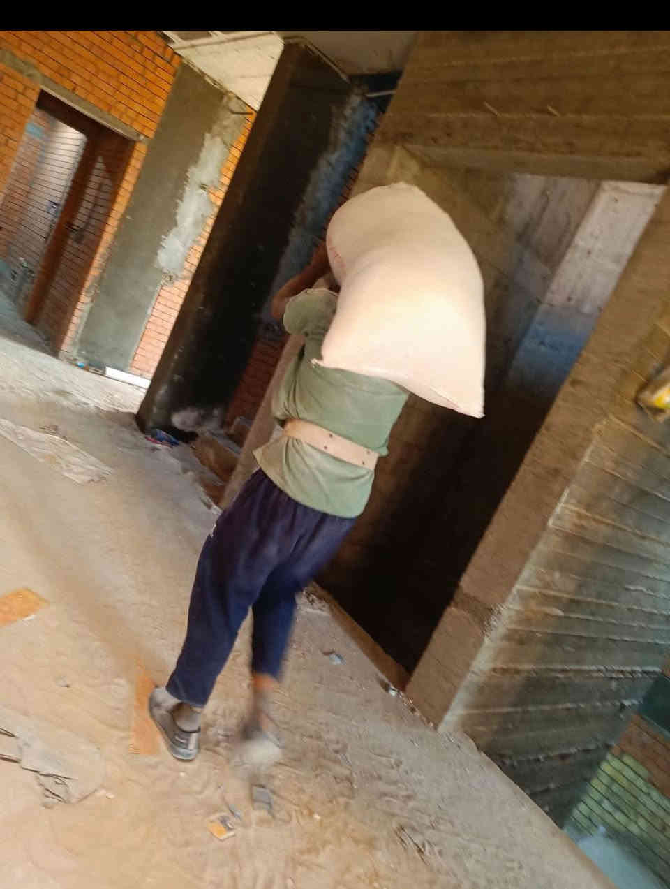 تصعيد  مواد على ظهر ***********
كادر عمل نشتغل  تصعيد كافة مواد البناء على ظهر متواجد بغداد متفرق حالياً اتصل وبخدمتك ***********
