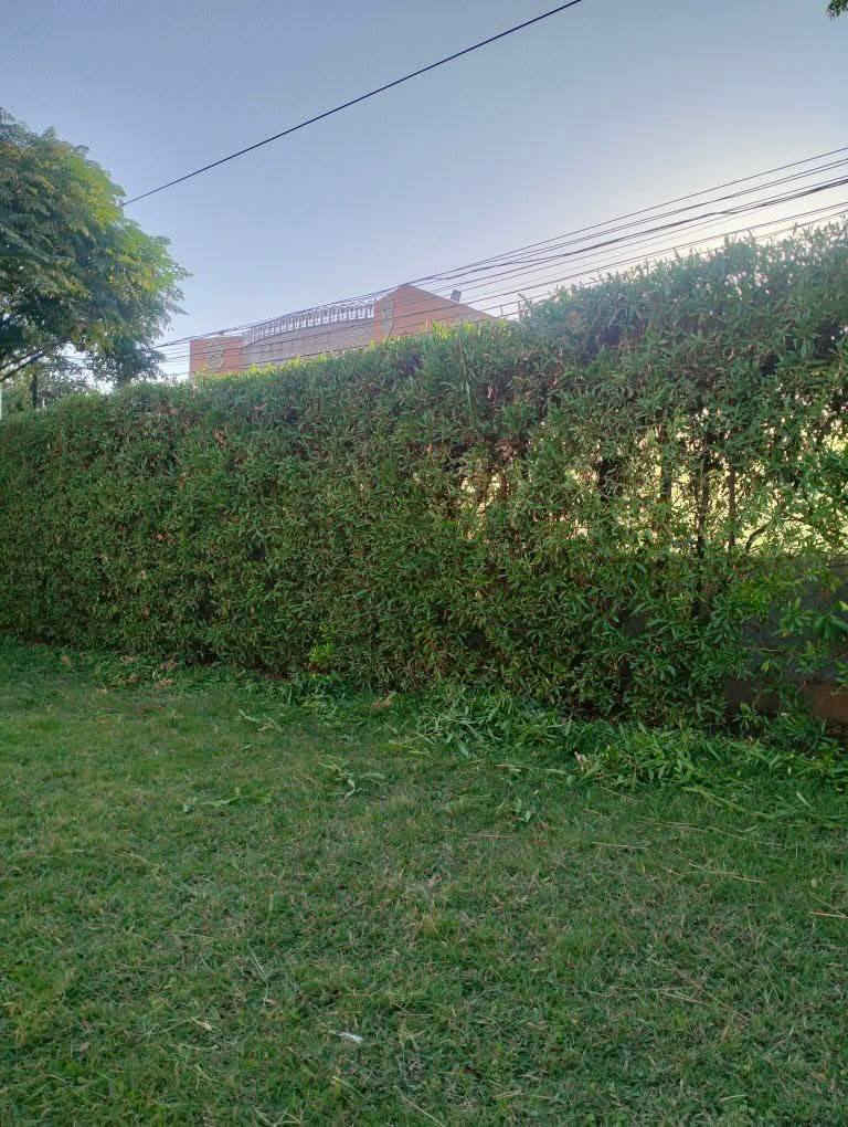 مستعدون لترتيب وهندسه تصاميم الحدائق المنزليه !
🌸تصميم و ترتيب الحدائق المنزليه.م̷ـــِْن جديد
🌸تصميم النينة والاشجار جميع نباتات
🌸زراعة الثيل 
🌸زراعة الاشجار 🌱🌲
🌸زراعة الورود وجميع نباتات
🌸قص الثيل وتحديدة  وترتيبها

العنوان قضاء بلد صلاح الدين ***********
