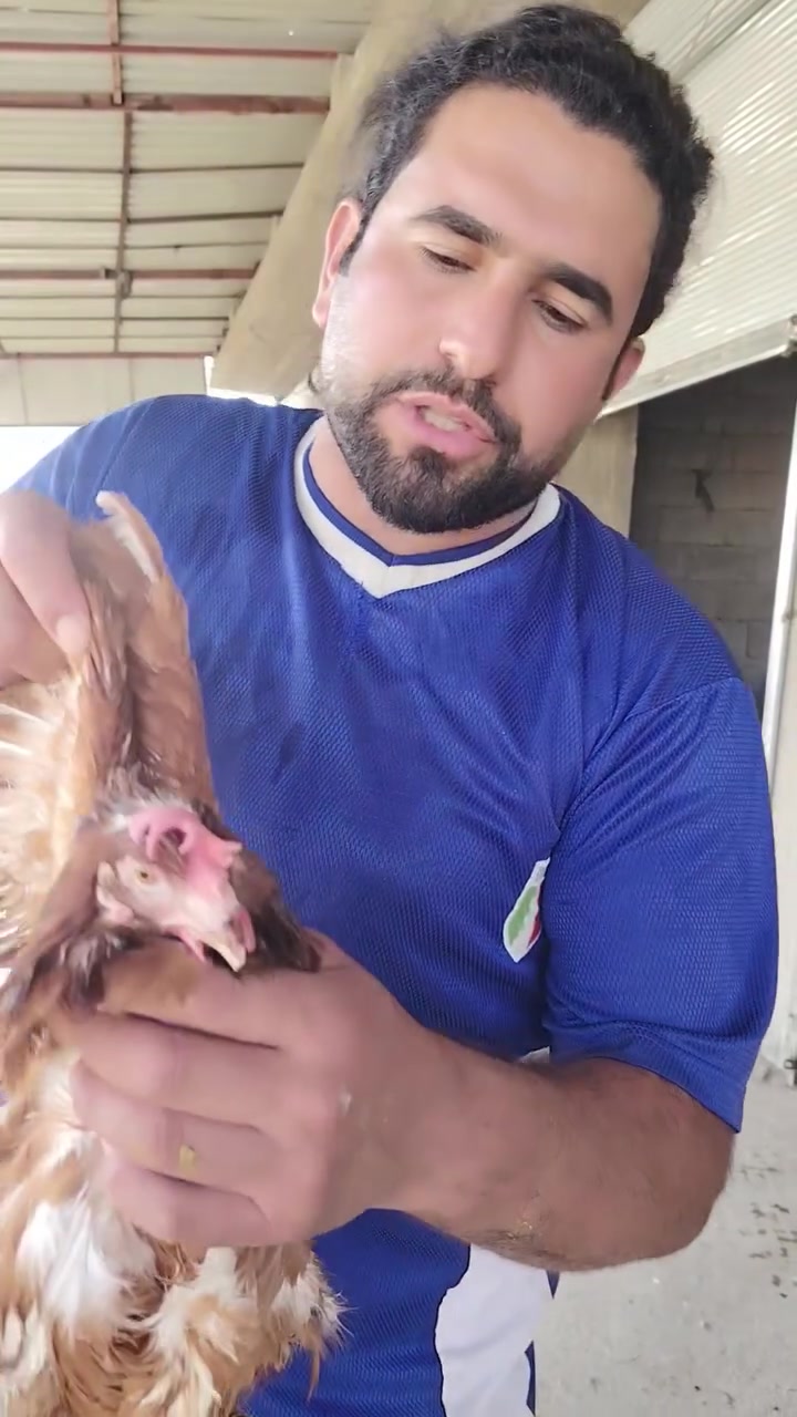 #تنظيف_بلاش خلي الفقير ياكل 🐔 دجاج درجه أولى.. 5 دجاجات 15  او 3ب 10  وزن كيلوين وفوك. .لايك وتعليق  تا يصلك  كلشي جديد


**إذا كنت صاحب هذا الإعلان وتريد حذفه لأي سبب، رجاءا أرسل رسالة إلى الدعم الفني**