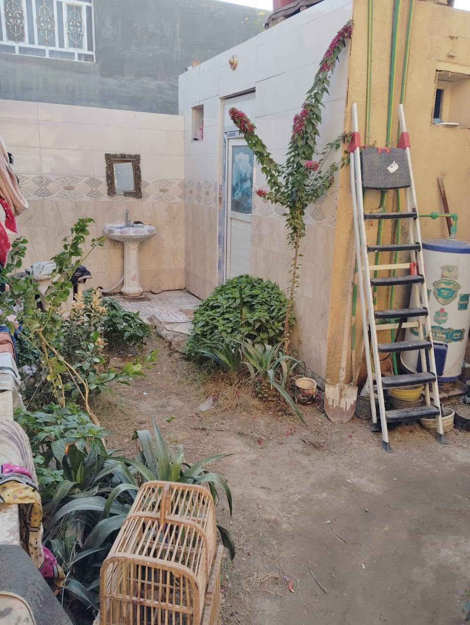 الدار للبيع المساحه 200متر طابو زراعي سند 25 تحويل مباشر الموقع على ربيانه قرب الشيخ أبو انس أو قرب مولدة محمد شاكر شارع تبليط ومجاري يتكون من غرف نوم ثنين 6*5 +ستقبال 7*4 ومطبخ مجمع صحي خارجي وداخلي وطارمه وممرات داير البيت وحديقه بناء طابوق السقف شيلمان درجه اولى 
أي استفسار إتصال على الرقم التالي ***********
أو مراجعة مكتب حيدر السلطاني
