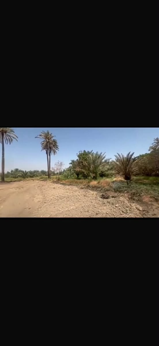 للبيع فرصة مميزة – قطعة أرض جاهزة للبناء على طريق بغداد – كربلاء (طريق الزوار)
📍 الموقع: قريب جدًا من طريق الزوار (طريق بغداد – كربلاء)، في موقع حيوي وسهل الوصول.

📐 المساحة: 650 متر مربع.

✅ جاهزة للبناء مباشرة.
✅ جميع الخدمات متوفرة: ماء وكهرباء.
✅ مناسبة لبناء حسينية، منزل سكني، مضيف، أو مشروع استثماري.
✅ موقع مميز يخدم الزائرين ويتميز بسهولة الوصول والحركة.

سعر ٣٢ مليون فقط


**إذا كنت صاحب هذا الإعلان وتريد حذفه لأي سبب، رجاءا أرسل رسالة إلى الدعم الفني**