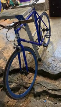 بسكليت جبلي • ياباني • سعر خاص