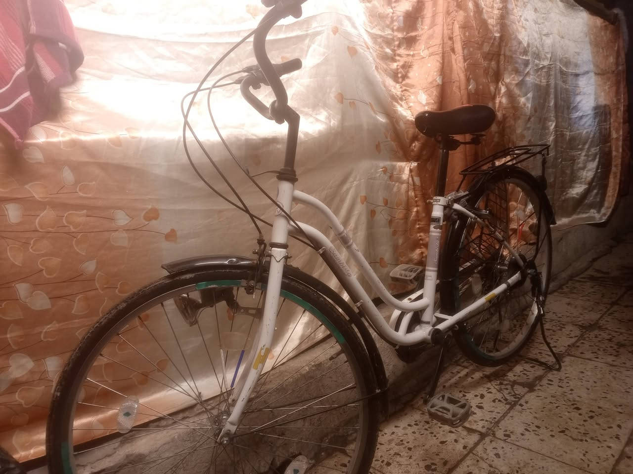 سلام عليكم بايكسل بناتي للبيع

حجم 26 اصلي غير تجاري اكلوب شغال موديل 2015 كير شيمانو اصلي بريك شغال الخلفي  جرس 🔔 شغال الاستفسار *********** السعر 120اوبي مجال
