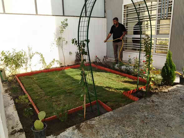 ابومحمد هندسه الحديقه وديكورات وتزين الحديقه وزرعت ثيل وقص ثيل
‏‪***********‬‏
