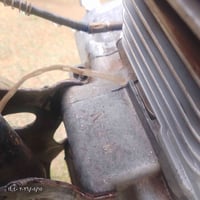 شباب عندي دراجه لبيع موديل2019شباب أريده يخبرني عله خاصه رقم 078770224...