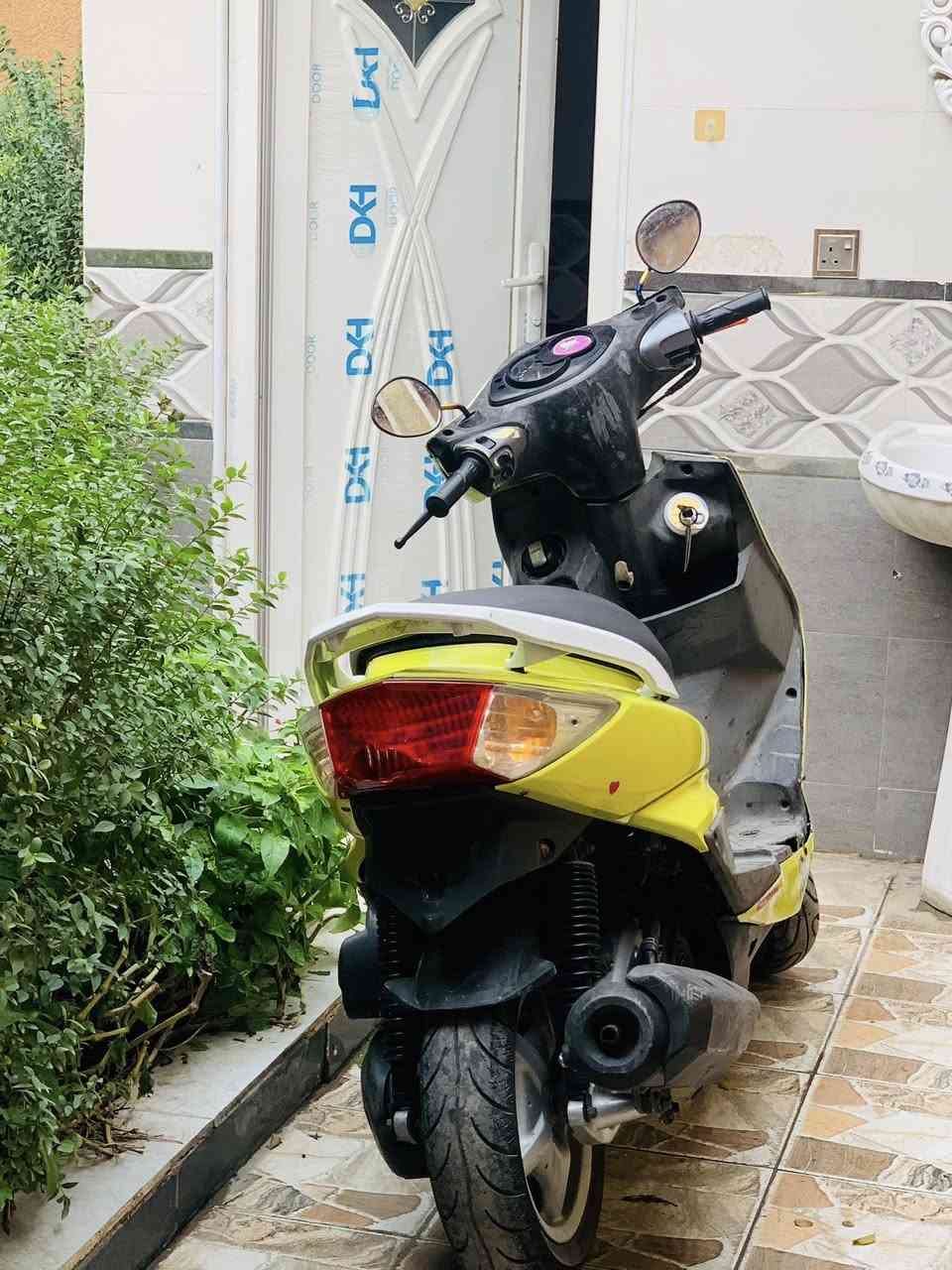 سلام كليكم سكنس فحل ياباني قبغ نفخ مو كوري لون مميز بي شذرة وردية بل شمس تبين نكرة سلف بوشة 58.5 مزود فول نعومة شلعة معدل 140 شرط مكاني كربلاء السعر 750 بيهة شي بسيط كلش كلش ***********
