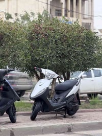 ماكس عدلة نزلت من الرمبة صارلها شهر ونص  مماشية هواي بلادية من البجم ل...