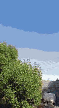 سلام عليكم 
دايوان 2023ماكس رقم واسط دراجة نضيفة لايت زنون وبصمات 2شوف نضافتهة بعينك مكينة ماممدودعليها سبانة المكان بغداد بسماية السعر 2350هاذ رقمي بي واتساب ‏‪***********‬‏
