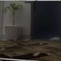 تلفزون LG  قياس 55 مع جهاز ستلايت السعر ١٦٠ الف رقم الهاتف ٠٧٧٤٤٤٤٨٤٩٥