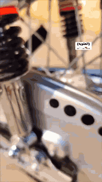 أوراق • نضيفه • ميسان قطاع 30