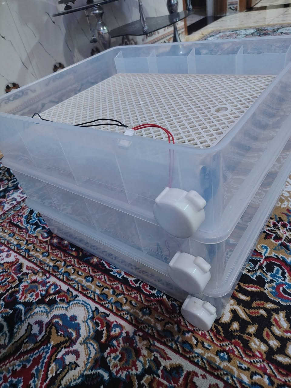 على بركة الله متاح فقاسة اصليه تسع 200 بيضه السعر 225 ألف وبيه مجال
شرط الفحص والشغل رقم *********** 
مكاني بني منصور اكو توصيل
