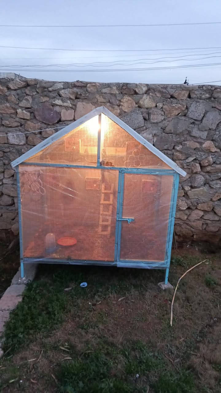 قفص لبيع متر ونص الطول  ارتفاع متر ونص العرض متر ‏‪. شراي اتصل  ***********‬‏ أو  وخاص مفتوح
