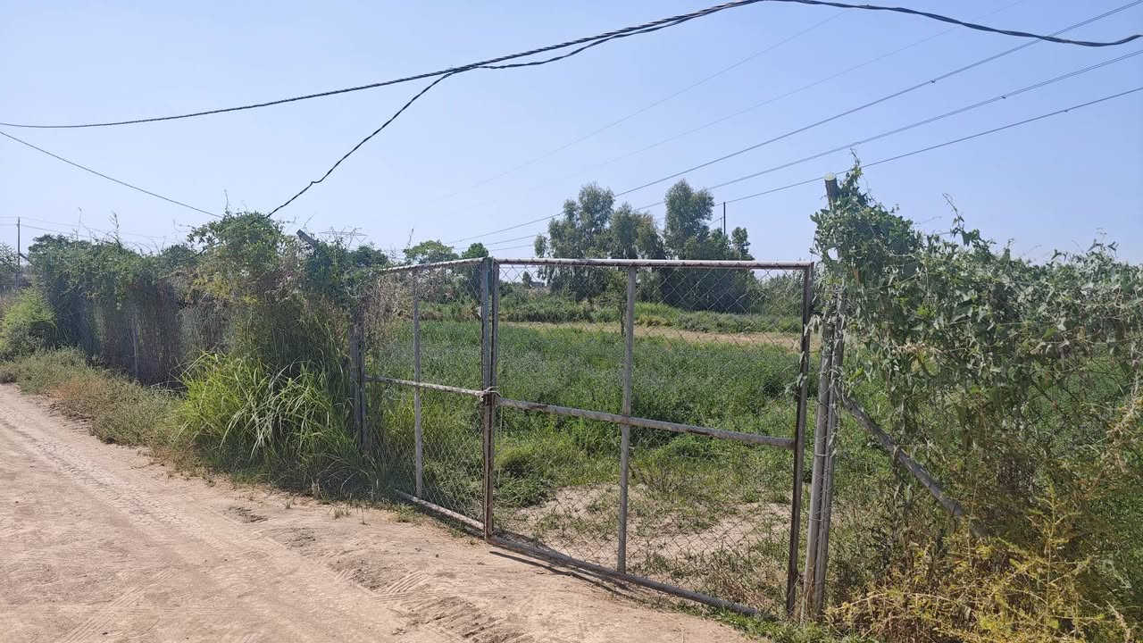 دونم زراعي سند ٢٥
دونم زراعي سند 25 (حق التصرف) للبيع في منطقة الرضوانية الشرقية يبعد عن جسر معمل زينب 8 دقائق بالسيارة
الدونم مسيج بي ارسي وواصل اله كهرباء وماء اسالة اضافة الى كونه مطل على الري (البزل) والقطعة ثاني قطعة عن الركن 
موقعها https://goo.gl/maps/XxtfyB3BF9WU1uo78
للاستفسار ***********
