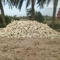 طابوق جمهوري • تجهيز