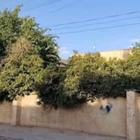 بداية ١٧ تموز • دار للبيع • ٤٤٦م