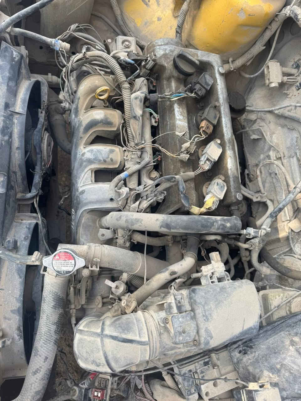 تفصيخ شيري كوين  عنوان حله طريق حله نجف توجد خدمة توصيل 
***********
