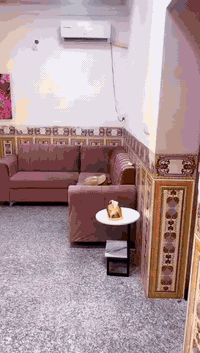 للبيع ،  العنوان  المشتل  شارع المطبك  ايجاره   400  الف 07705883904