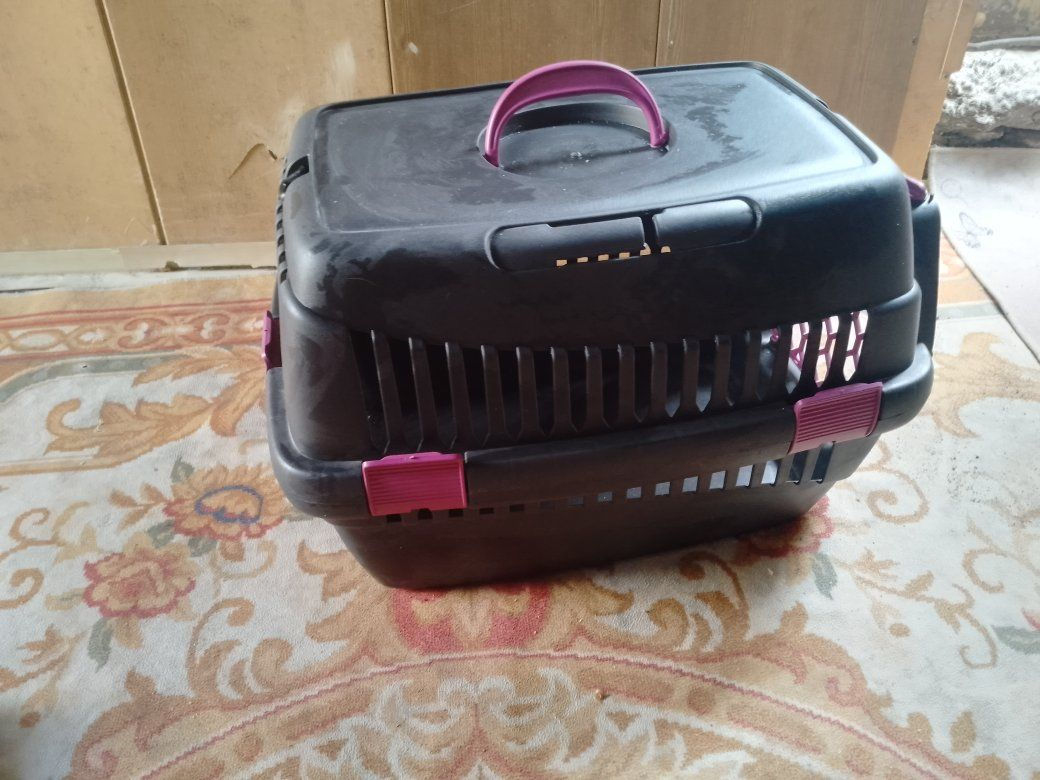 جهاز ضغط زئبقي نظيف للبيع وقفص بلاستك وحصان هزاز عالباتريات يتحرك وفير شغال واوتي شغال مكاني بعقوبه ***********
