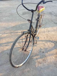 باسكل • مقاس ٢٧ • بابل القاسم