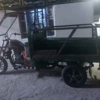 ستوته • ستوته للبيع • ستوته فرس 13 • ستوته مال ماي • ستوته بيبان