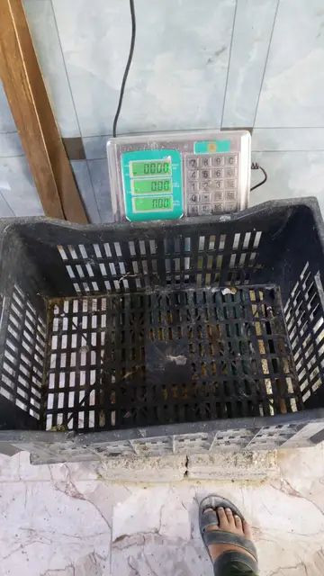 غراض محل دجاج سماطه + ميزان + مذباح + طباخ + جدر جبير  للبيع 
الغراض شلع ب 500  المكان فلوجة حي المختار 

سندويج بنل مستعمل قليل للبيع عدد 5 قطع كل قطعه طول 6 امتار 
سعر 225 قفل


**إذا كنت صاحب هذا الإعلان وتريد حذفه لأي سبب، رجاءا أرسل رسالة إلى الدعم الفني**