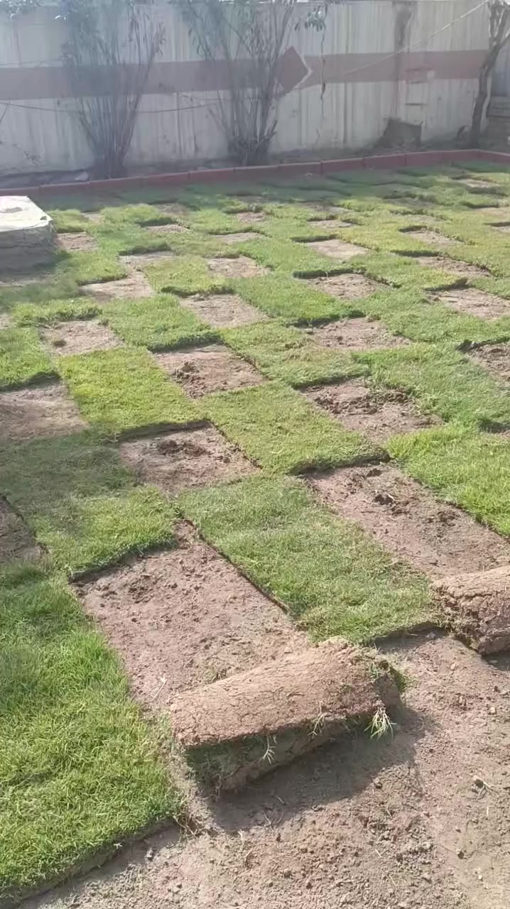 ‬‏يوجد خدمت توصيل لجميع المحافظات ويوجد كادر لتجهيز الحدائق لطلب ولستفتار التصال على الرقم أو مراسلت الصفحه ***********👈***********
