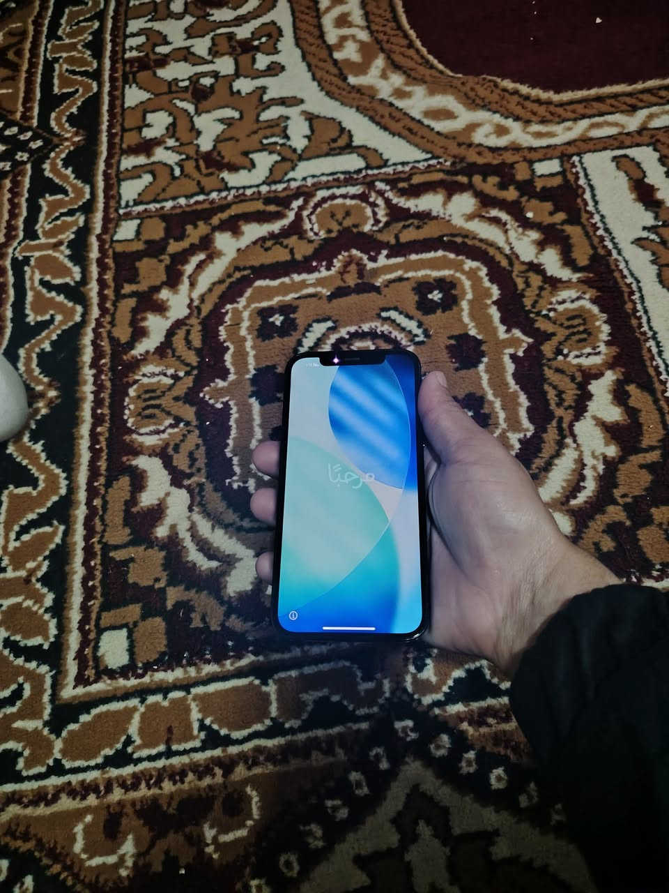 ((للبيع 12برو)) 
وضع شركة كلو وتر بروف ما يعبر هوة 
ذاكرة 256
بطارية 75
تك سيم 
سعر 285


**إذا كنت صاحب هذا الإعلان وتريد حذفه لأي سبب، رجاءا أرسل رسالة إلى الدعم الفني**