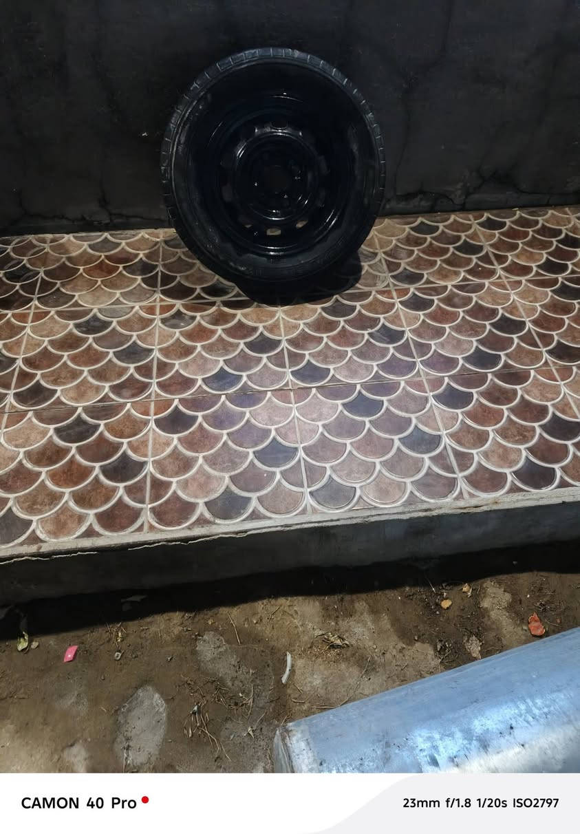 للبيع


**إذا كنت صاحب هذا الإعلان وتريد حذفه لأي سبب، رجاءا أرسل رسالة إلى الدعم الفني**