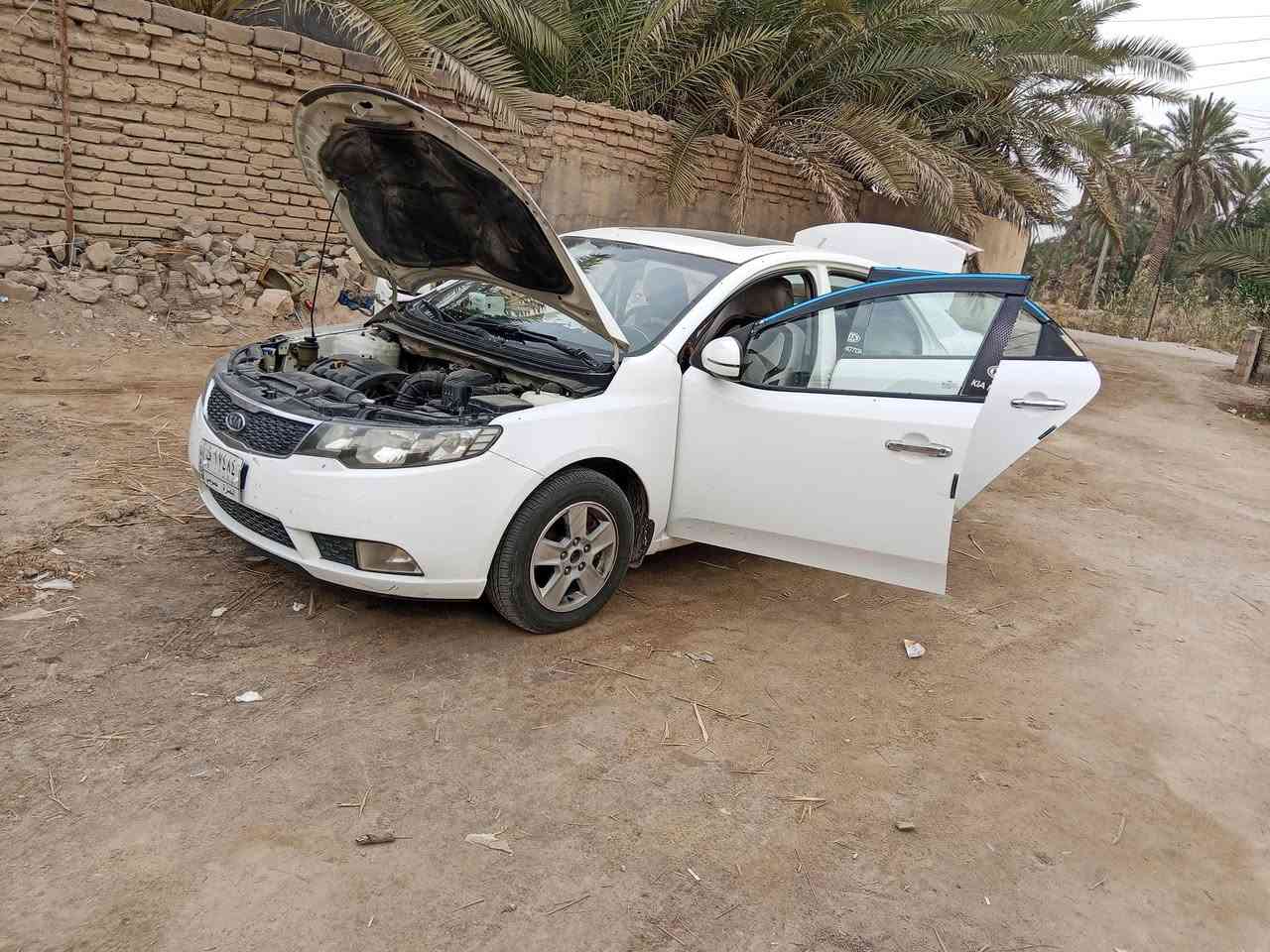 سيراتو 12 الستفسار***********
