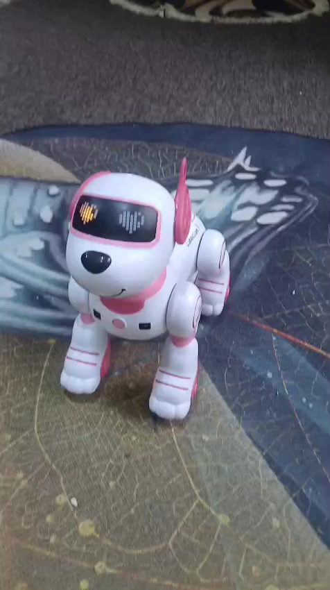 من رخصة الادمن المحترم ريبوت كلب حركات بهلوانية مربي على الدلال حتى مسواك يتسوك خلي سعرك وبالعافيه


**إذا كنت صاحب هذا الإعلان وتريد حذفه لأي سبب، رجاءا أرسل رسالة إلى الدعم الفني**