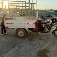 ستوته • ام الطير