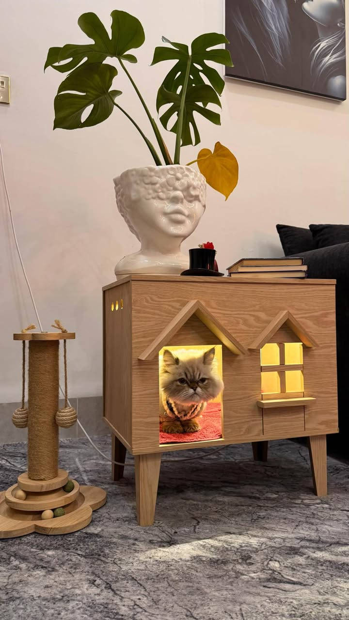 كۆمەدین و دیکۆر و شوێن پشیلە 
شتێکی تا بلێی جیاواز و دەگمەن
شوێن هەولێر گەیاندن هەیە
*********** واتساپ
بە تاک و کۆ بەردەستە
نرخ ٥٠،٠٠٠ أربيل, العراق
