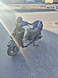 فراشه • فحل • مكينه نظيفه