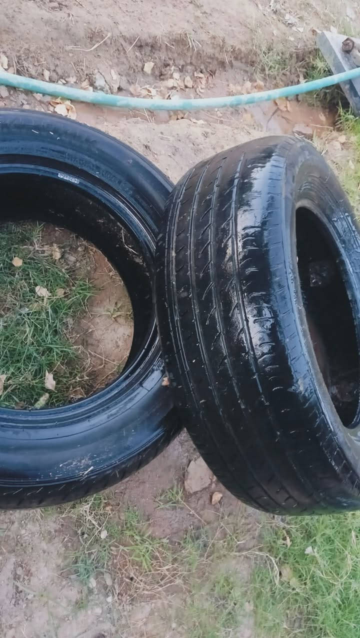 سلام عليكم شباب غراض ملكه للبيع. تايرات نص نضافه ٦٠ بالميه ودبلات نضاف حيل واحد جديد واحد تفصيخ امامي وخلفي ودركه كرستال. كلمن وسعره اليريدهن كلهن يدلل. خاص متواجد


**إذا كنت صاحب هذا الإعلان وتريد حذفه لأي سبب، رجاءا أرسل رسالة إلى الدعم الفني**