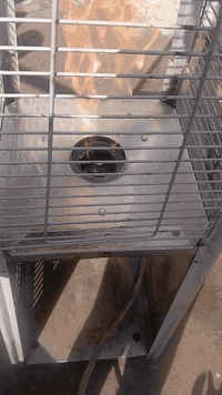 صوبات • بغداد • الامين الثانية