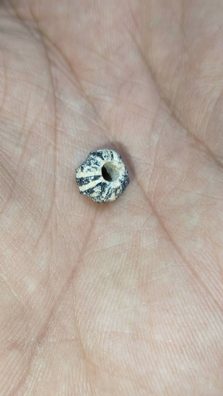 متاح


**إذا كنت صاحب هذا الإعلان وتريد حذفه لأي سبب، رجاءا أرسل رسالة إلى الدعم الفني**