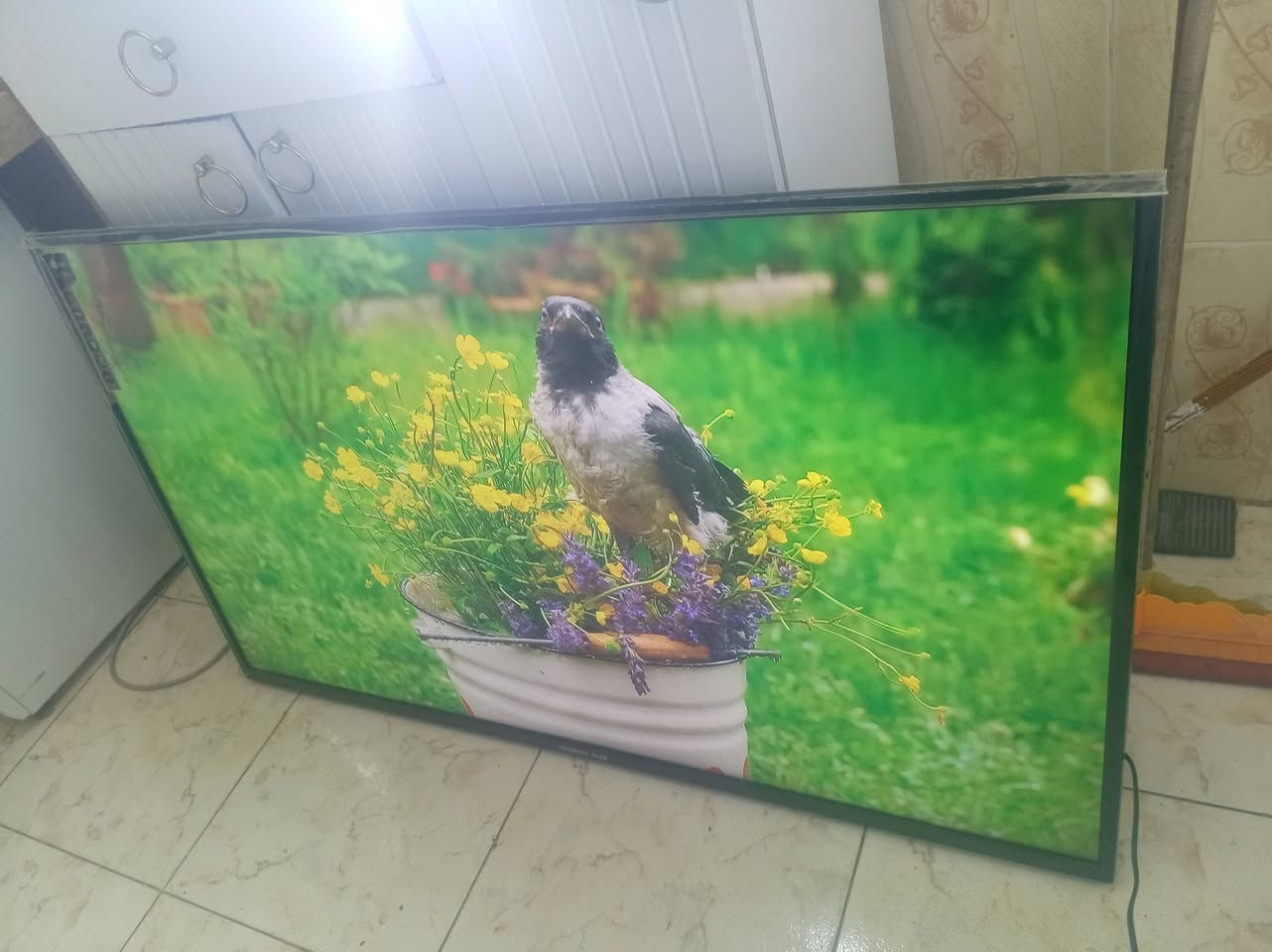 شاشه جنرال ٥٥ بوصة بي انترنت
٢٥٠ الف تواصل خاص فقطط


**إذا كنت صاحب هذا الإعلان وتريد حذفه لأي سبب، رجاءا أرسل رسالة إلى الدعم الفني**