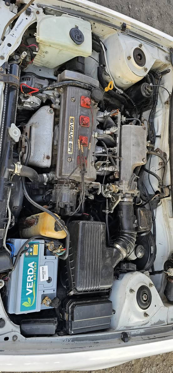 كورلا موديل 95🚘
رقم نينوى الماني 🚦
سنويه 27
كابون ماستر ⛽️
محرك 16
تبريد شغال 🧊
بارد بل داير 
طخم تاير جديد 🛞
السعر 57 وبيها مجال 
خاص ما اجاوب

انتصال عل رقم ***********
