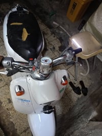 مصريه • فحل • اول فتحه