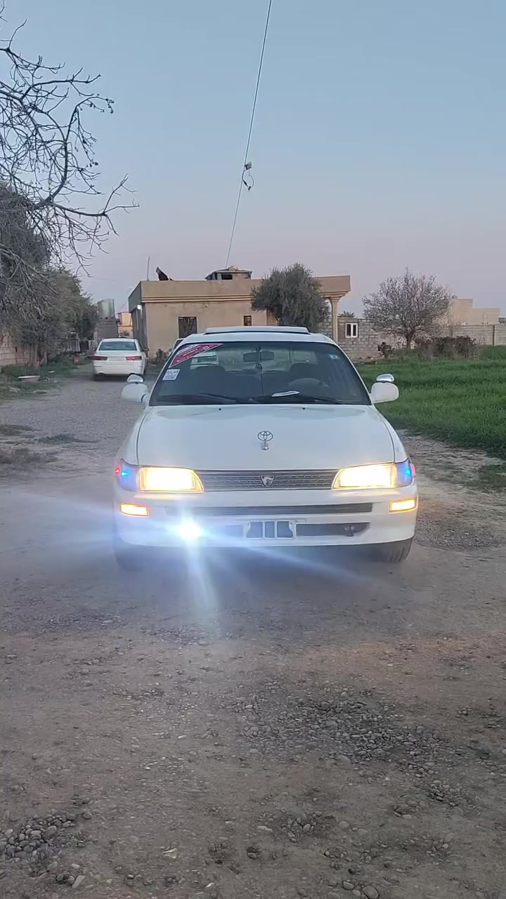 السلام عليكم
كورلا موديل 95 رقم نينوى انكليزي شرط التحويل بدون صبغ كير ومحرك شرط طخم تاير جديد صدر جديد تدفئه تبريد كربائيات كلها شغاله الاستفسار الاتصال على الرقم ***********
السعر 55وبيها مجال
