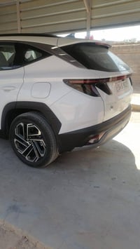 توسان ٢٠٢٥ • رقم بصرة • الزبير