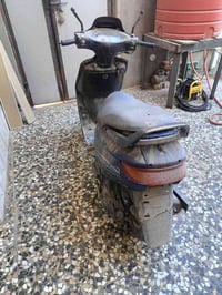 دراجة فراشة • دهن أخضر • الجزيرة شارع زين العابدين